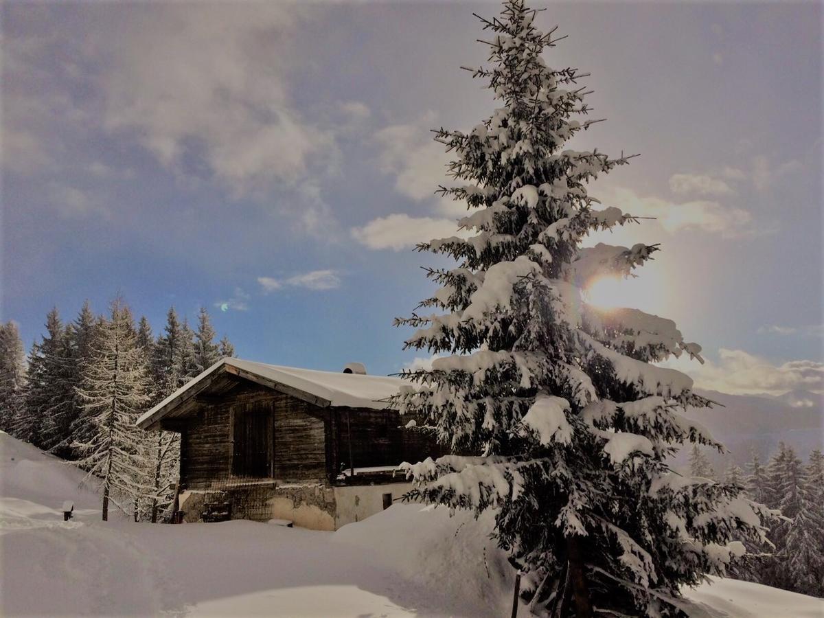 Doris' Nest Apartment Kitzbuhel Luaran gambar